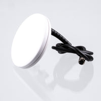 BOBINA GOLD MONSTER GM 05